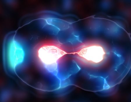 Life Sciences | Meiosis