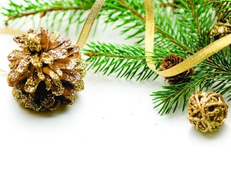 10153 Kagiso Trust images